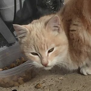 Meet your Posher, Katelynn